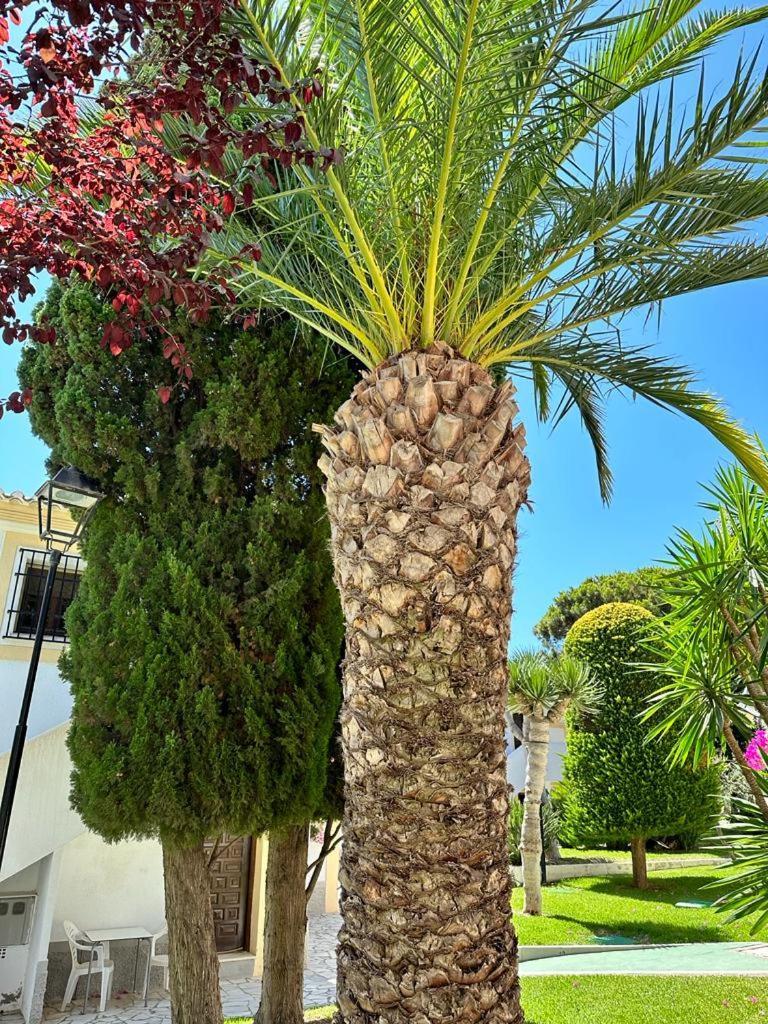 Casa De Familia Vera Coast Luaran gambar